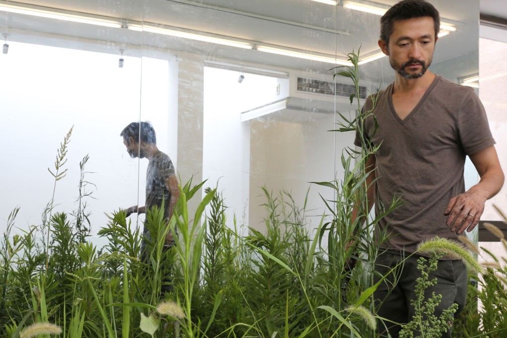 Zheng Bo at his living exhibition "Life is Hard. Why Do We Make It So Easy?" at Kadoorie Farm and Botanic Garden in Tai Po, Hong Kong. Photo: Jockey Club New Arts Power