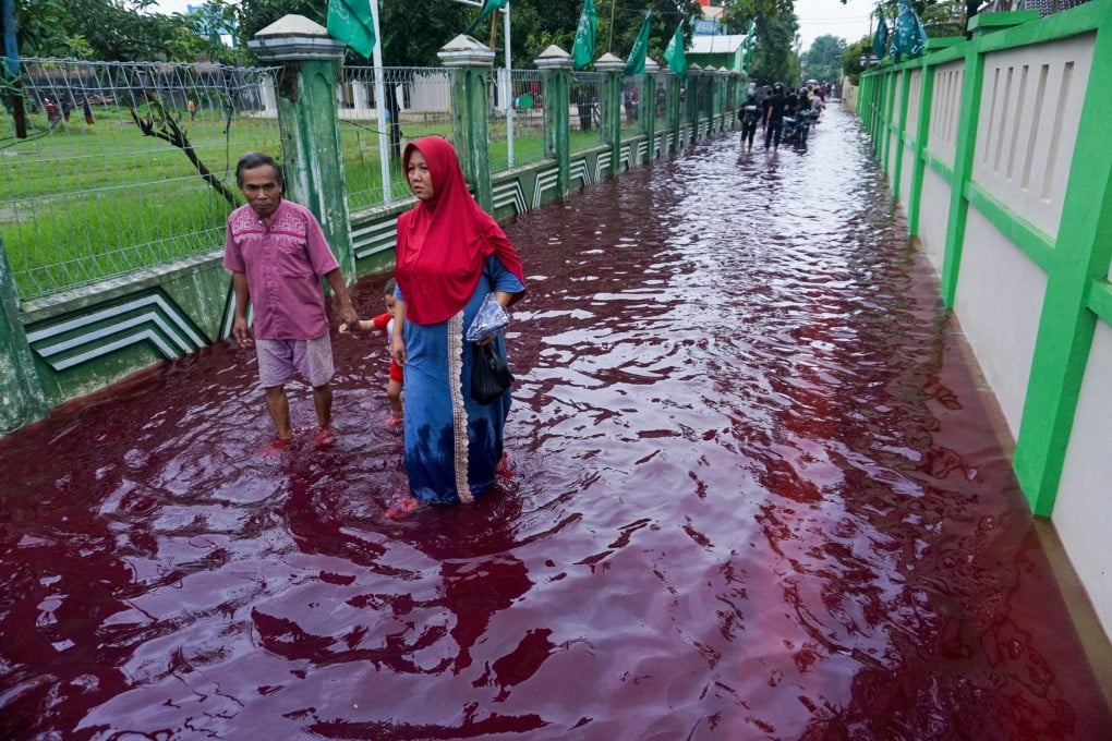 Residents wade through floodwaters dyed red from the waste of a batik factory in Pekalongan, central Java. Photo: AFP