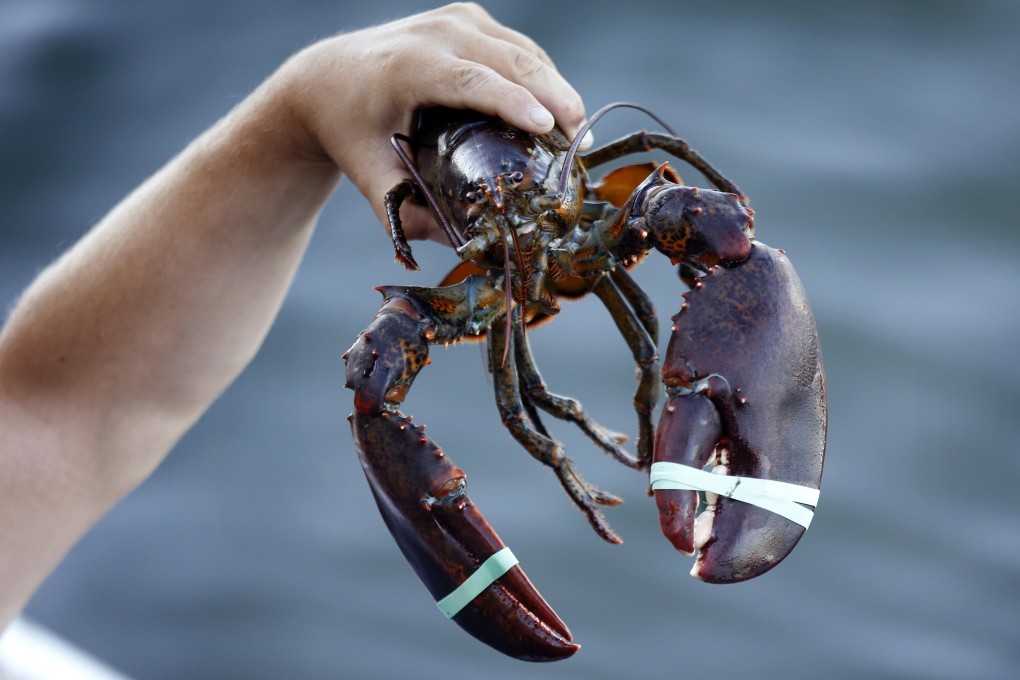 China is currently enforcing strict rules about food importation because of the coronavirus. Photo: AP