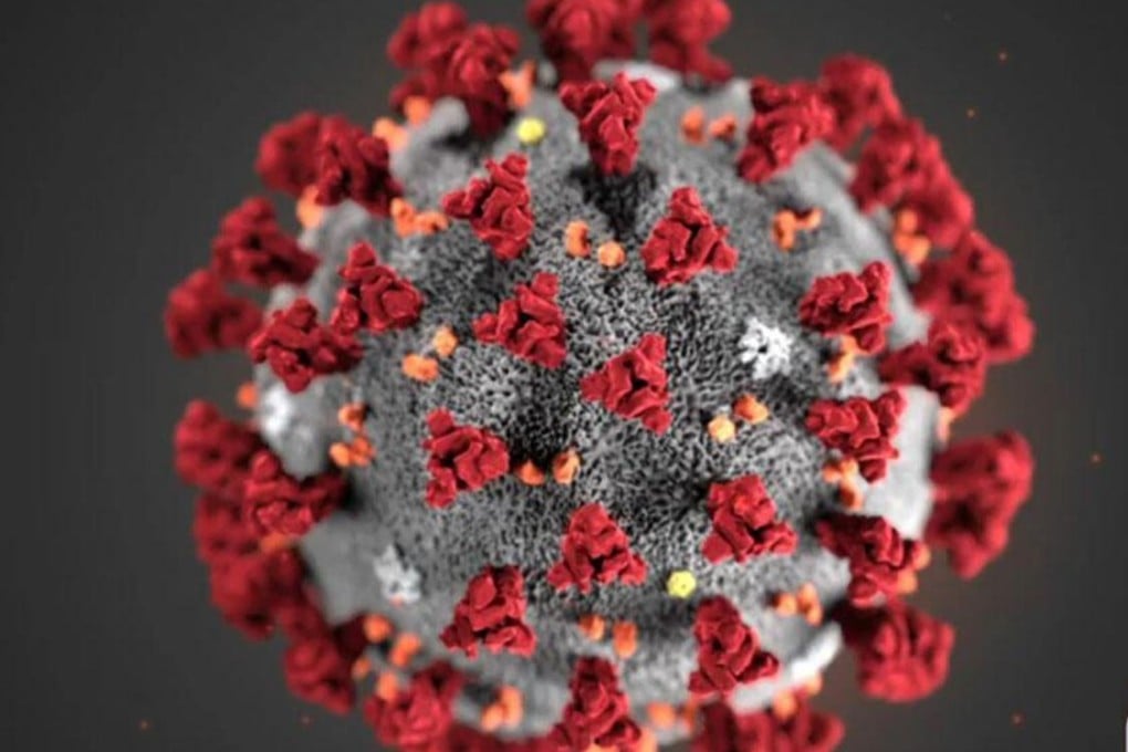 A Covid-19 particle is pictured in this image provided by the Centers for Disease Control and Prevention. Photo: CDC/TNS