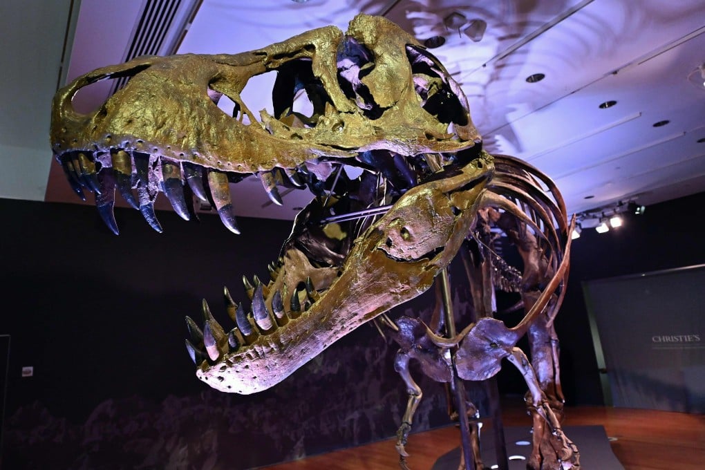 The paper, published in the journal Scientific Reports, pushes back against an older theory that claims the object that killed the dinosaurs was a fragment of an asteroid that came from our solar system’s Main Belt. Photo: AFP