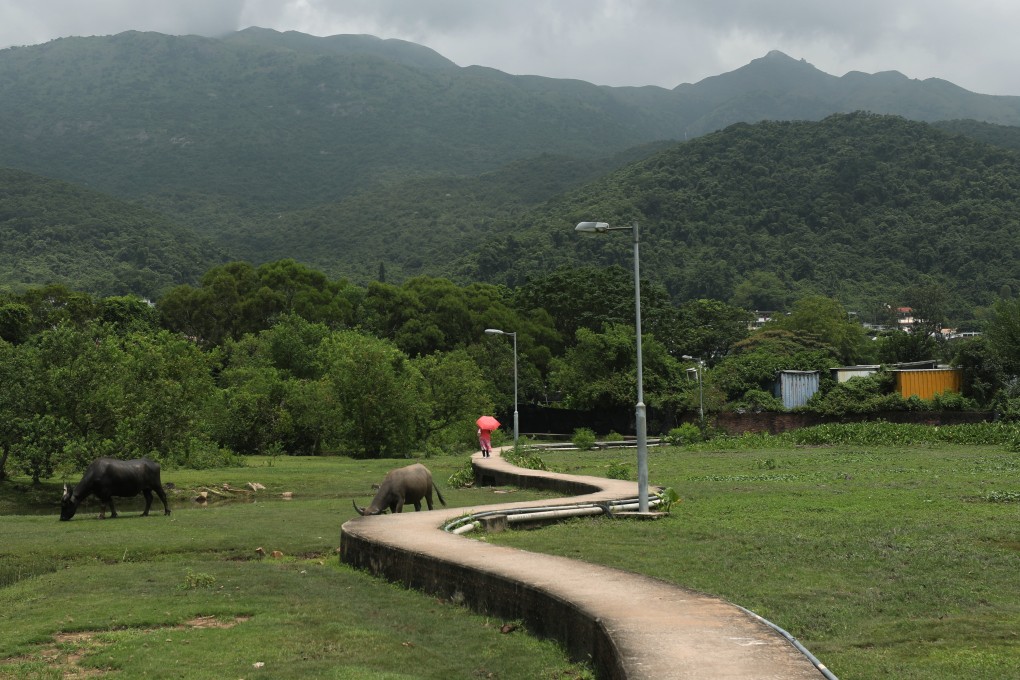 A hiking trail at Pui O on Lantau Island. Photo: Xiaomei Chen