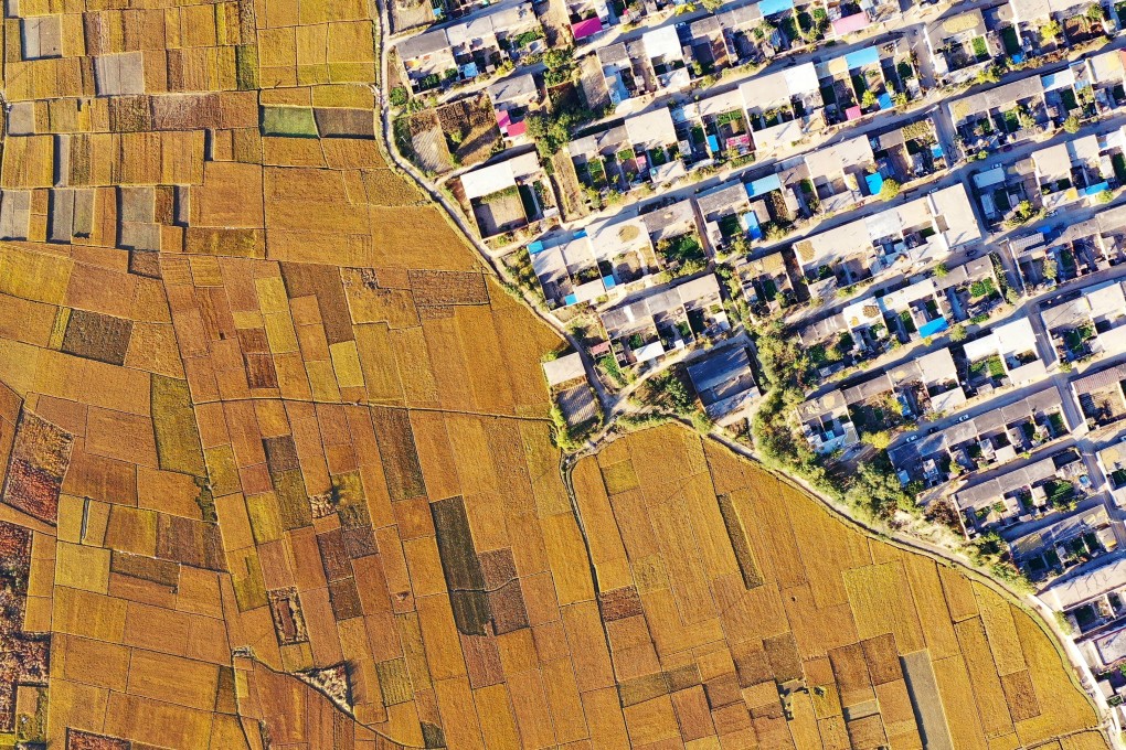 China needs to feed 1.4 billion people, but recently African swine fever, the coronavirus and natural disasters have raised questions about its food security. Photo: Xinhua