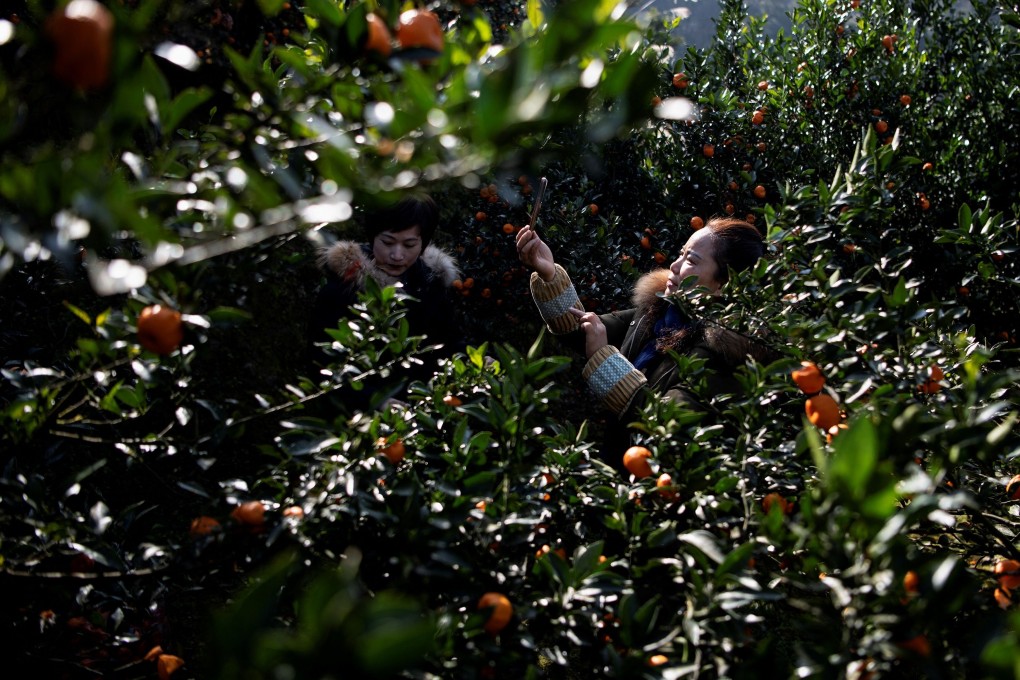 China’s decades-long war on poverty has yielded remarkable results, but that has not guaranteed greater social mobility for many in rural areas. Photo: AFP