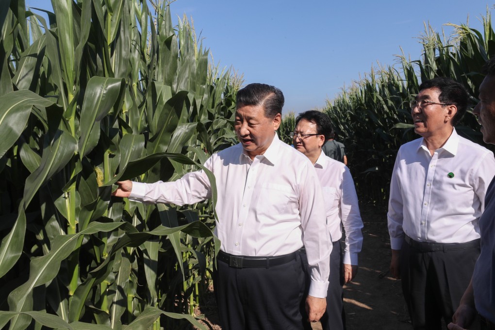 Chinese President Xi Jinping visits a demonstration zone for green food production in Lishu County of Siping City in northeast China's Jilin Province on July 22, 2020. Photo: Xinhua