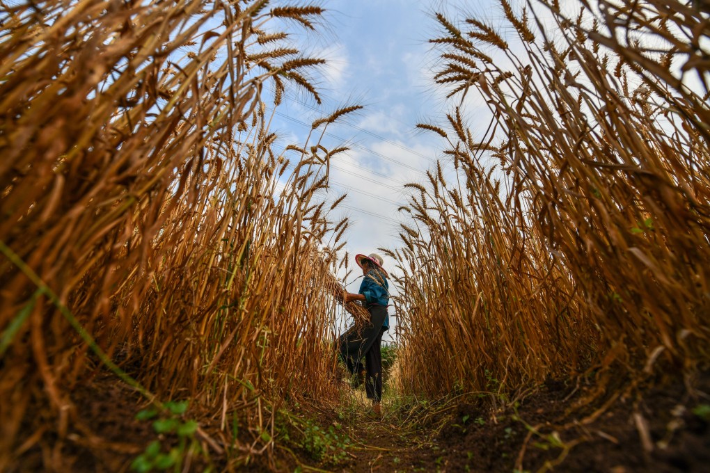 China is shifting focus to narrow the income gap between rural and urban areas. Photo: Xinhua