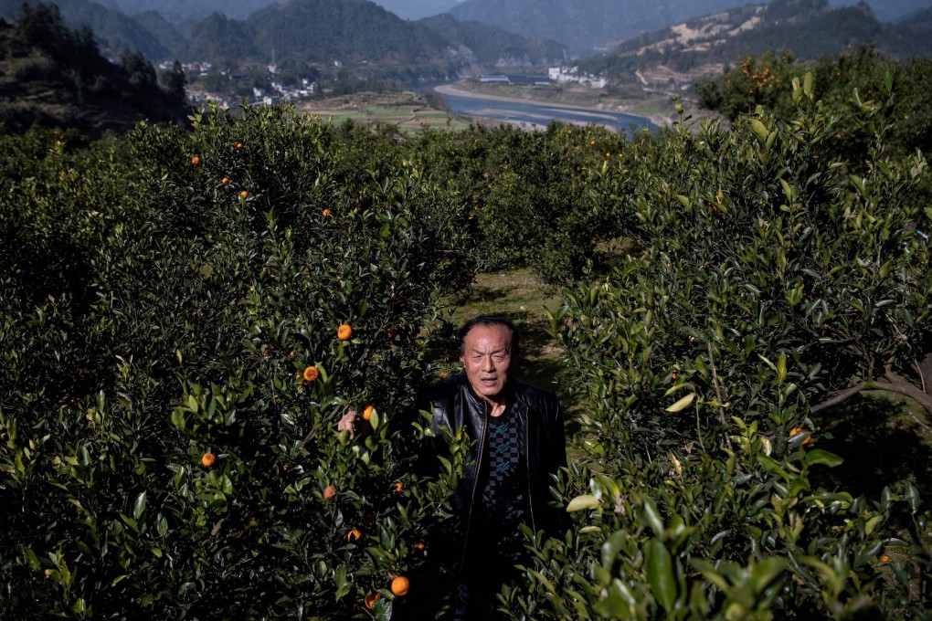 China’s education, entertainment as well as agriculture and fisheries sectors were hit the hardest, with closure rates of 33 per cent, 31.7 per cent and 27.6 per cent, respectively. Photo: AFP