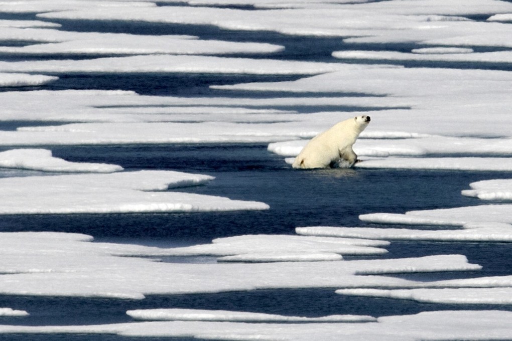 The US and China are both committed to the fight against climate change. Photo: AP