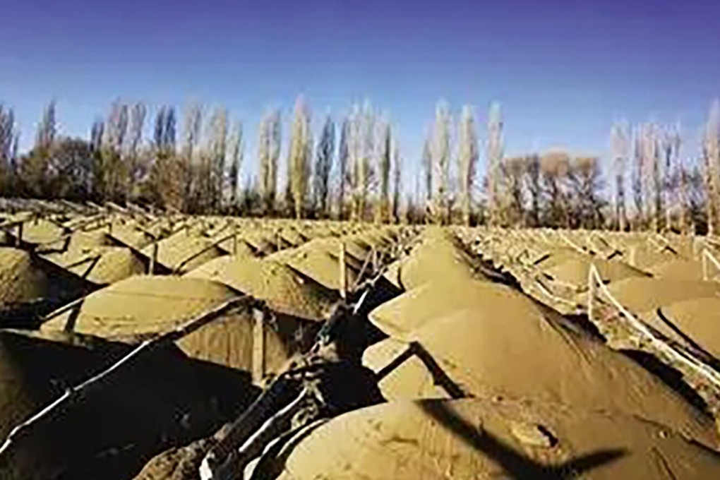 The central government team said more than 2.2 sq km of trees at Yangguan Forest Farm had been lost over the past 30 years. Photo: Weibo