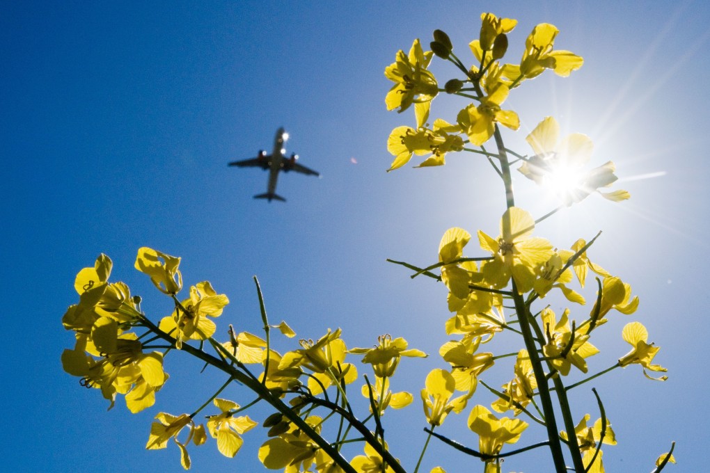 The International Air Transport Association has talked about a system for travellers to check vaccination rules in different countries and upload their records for compliance. Photo: Getty Images