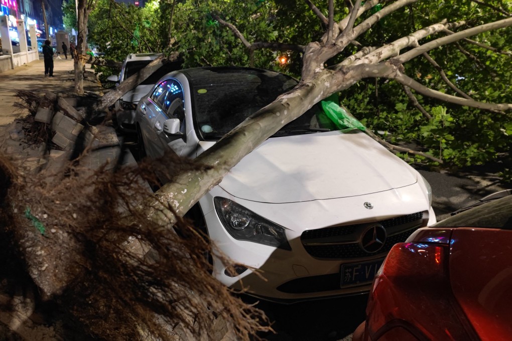 The cost of the damage caused by a thunderstorm in east China was estimated at more than US$2.5 million. Photo: AFP
