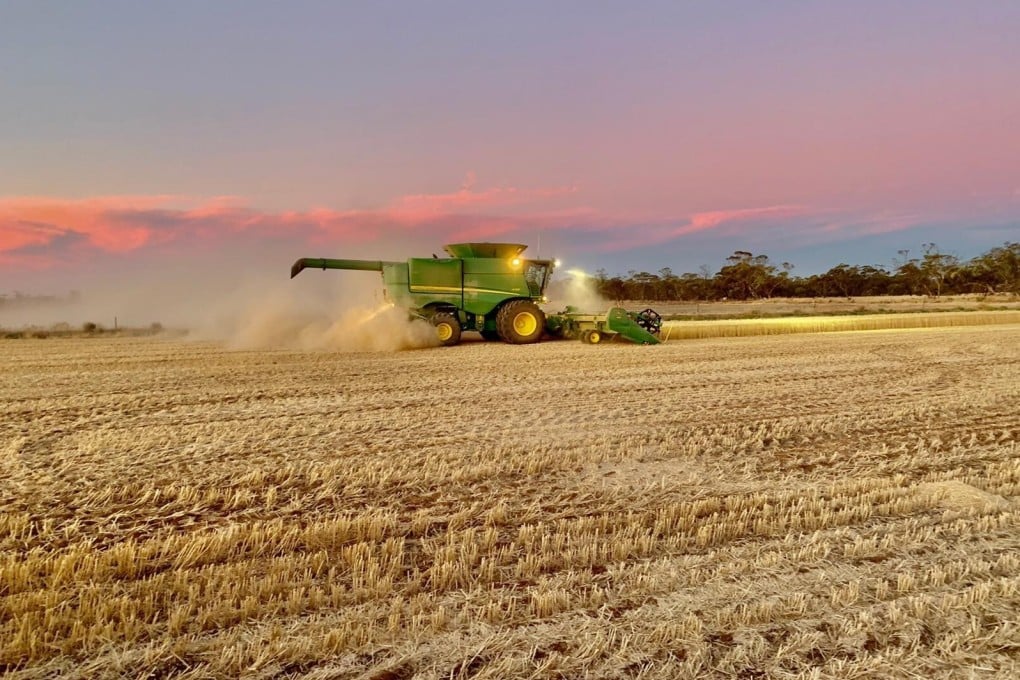 As China imposed anti-dumping duties on Australian barley last year, some farmers shifted to other grains. Photo: Handout from Corey Blacksell