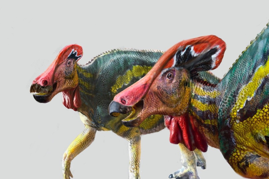 An illustration by Mexico’s National Institute of Anthropology and History represents a new species of a dinosaur named Tlatolophus galorum. Photo: INAH / Handout via Reuters