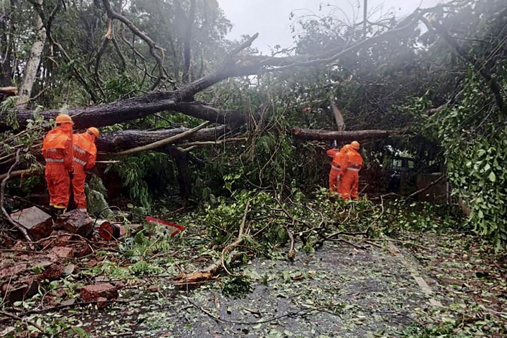 Disaster response workers clear fallen trees from a road in Goa, India. Photo: NDRF / AFP