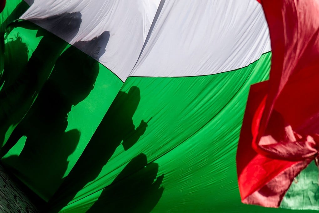 Pro-Palestinian supporters demonstrate over the ongoing conflict with Israel. Photo: AFP