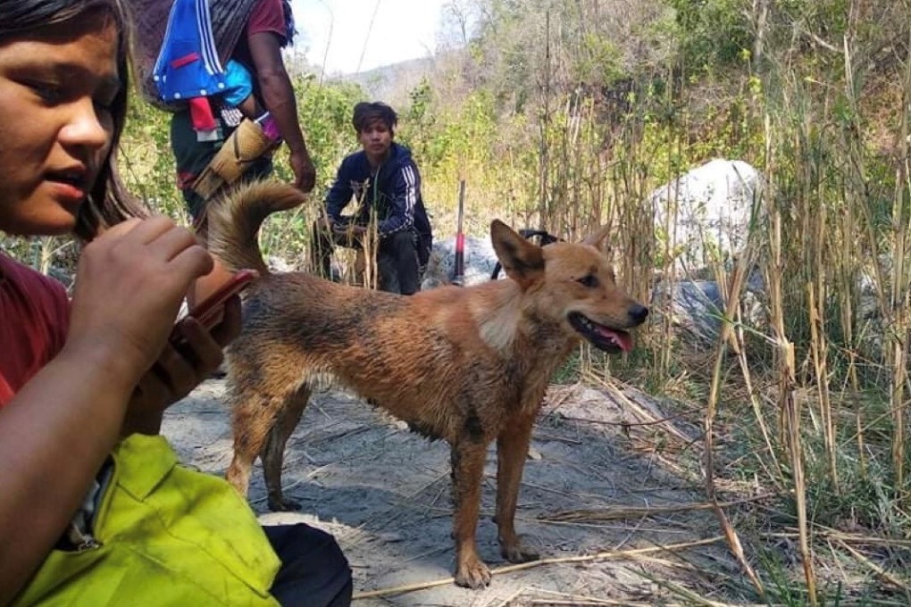 Myanmar villagers fleeing anti-coup violence may starve in jungle amid ...