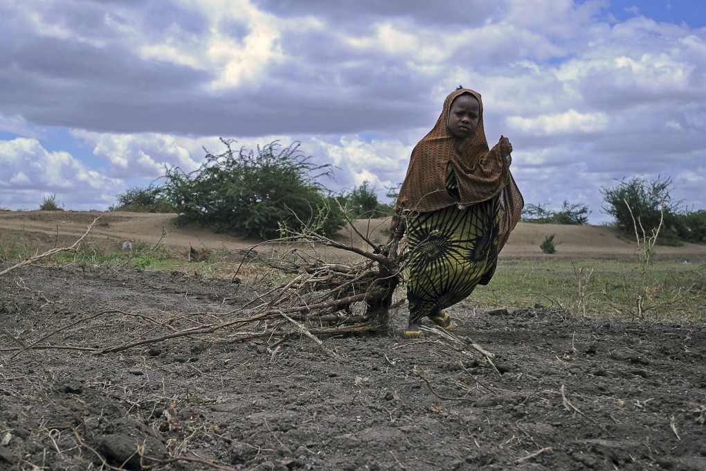 A Somali girl drags bundles of firewood for use as fuel for cooking near Jowhar town, north of the capital Mogadishu, in October, 2015. Clean tech can help reduce the drudgery that disproportionately burdens women, such as collecting water or fuel. Photo: AFP