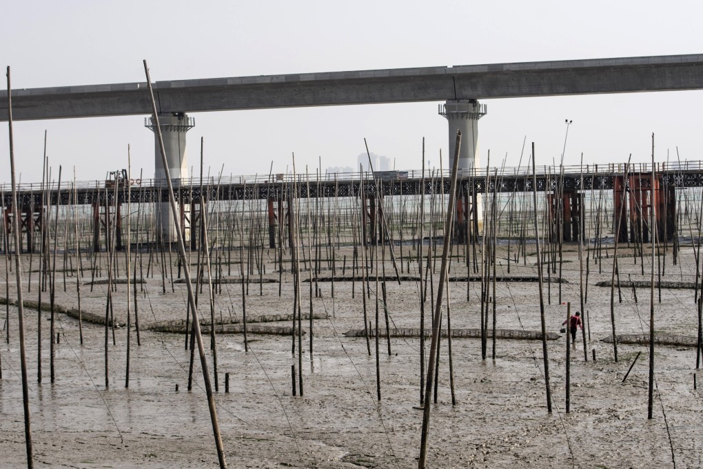 A cockle farmer trudges through a muddy field near the Meizhou Bay bridge, which is under construction as part of the Fuzhou-Xiamen high-speed railway project, in Putain, Fujian province, China, on February 8. Local governments have poured funds raised by the floating of bonds into infrastructure projects. Photo: Bloomberg