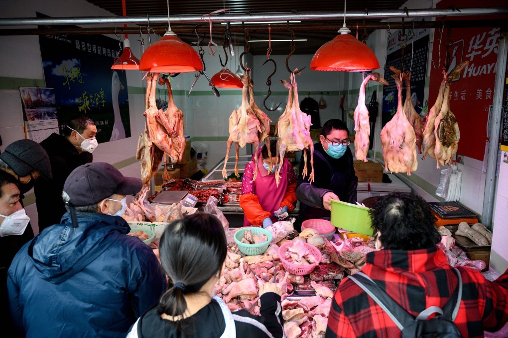 China has reported what could be the world’s first human infection of the H10N3 strain of avian influenza. Photo: AFP