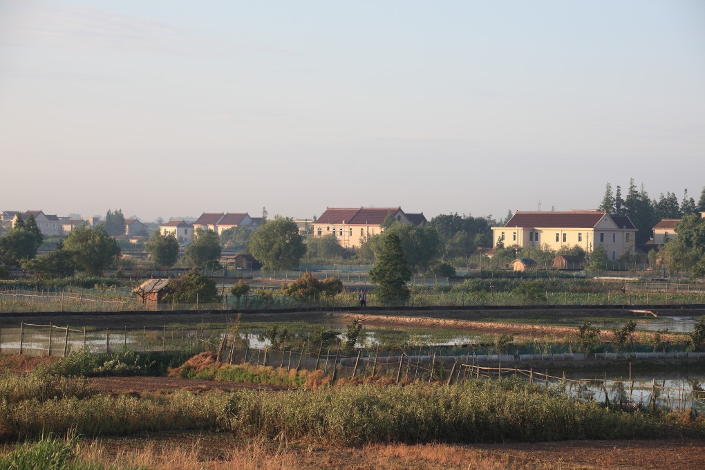 Located at the mouth of the Yangtze River, Chongming is also known as the “last virgin territory” in Shanghai. Photo: Shutterstock Images