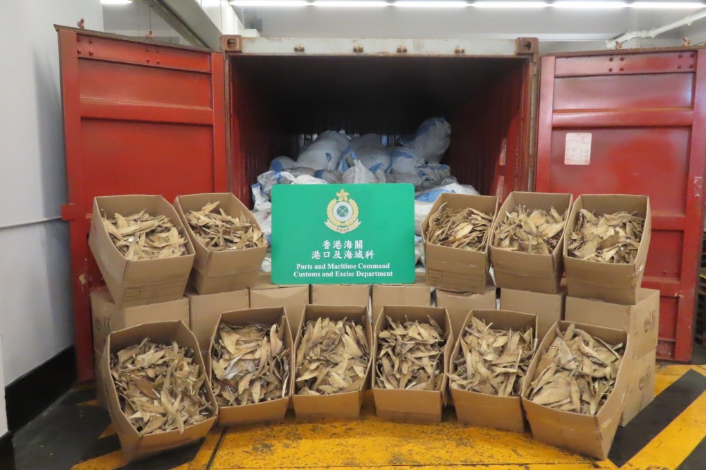 Dried fins from protected guitarfish are displayed by Hong Kong’s customs department after they were found hidden in a container at the port. Photo: Handout
