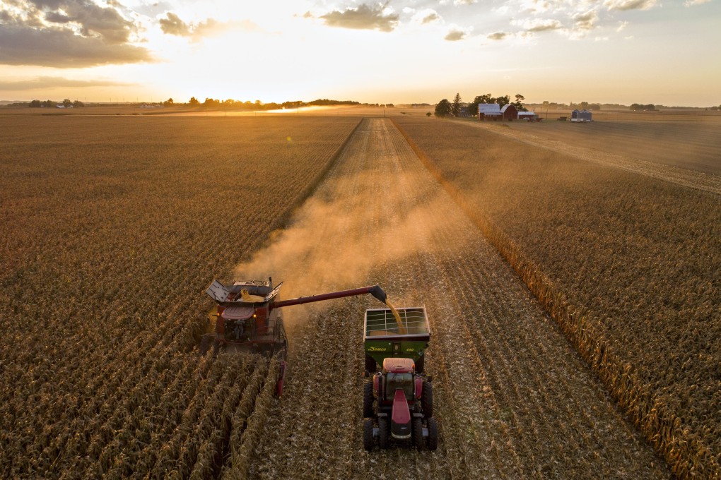 Analysts expect China’s corn imports for the 2020-21 season to hit record levels. Photo: Bloomberg