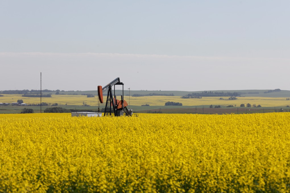 In March 2019, China’s customs confirmed the suspension of canola imports from Richardson International ‘and relevant firms’ after local offices in Shanghai, Dalian, Nanning and Shenzhen had ‘detected harmful pests’, according to local media reports. Photo: Reuters