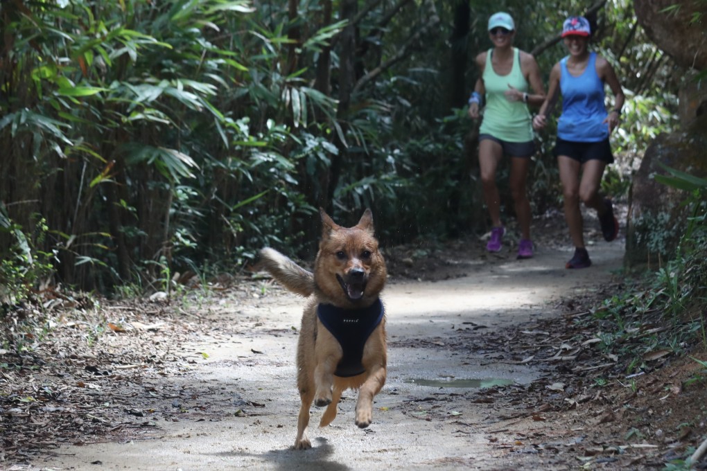 Hong Kong runners Anik Tremblay (left), Leslie Van and her dog Juno, a year-old German shepherd mixed breed rescue dog, at Sir Cecil's Ride stream rest area in North Point. Photo: Xiaomei Chen