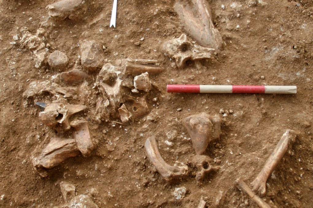 Excavations near the city of Ramla in which researchers uncovered prehistoric remains that could not be matched to any known species of human. Photo: Tel Aviv University / AFP