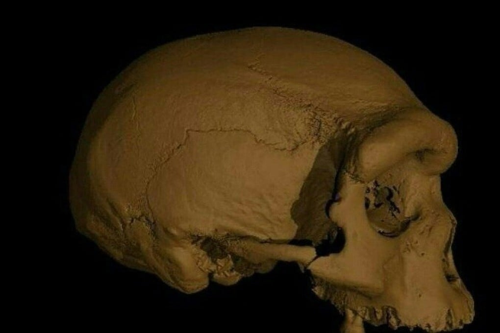A virtual reconstruction of the Harbin skull that scientists have named “Dragon Man”. Photo: EurekaAlert! via AFP