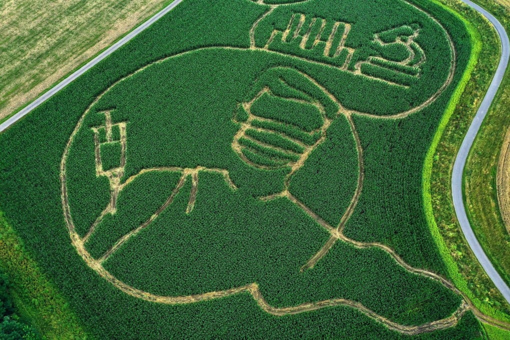A maze in a maize field in Selm, western Germany, shows an image of a person getting vaccinated. Photo: AFP