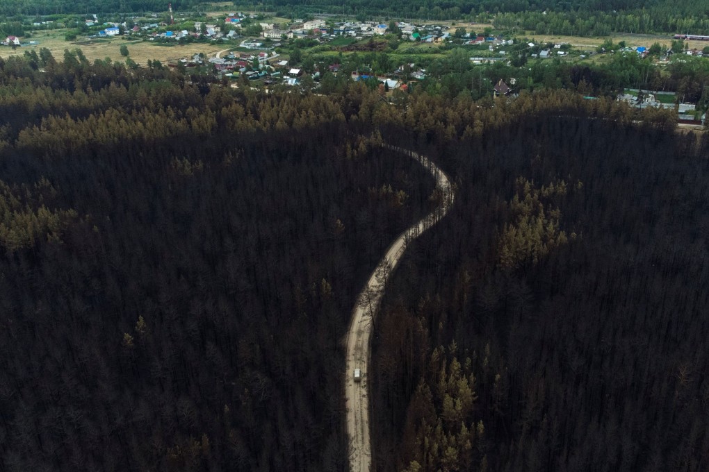 A forest burnt by wildfire in Russia’s Chelyabinsk region. Wildfires have also blanketed Siberian towns in the east. Photo: Reuters