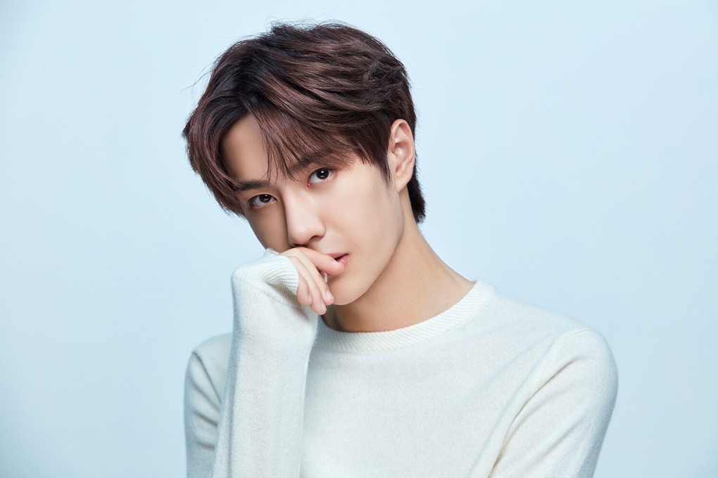 Police arrested two fans of Chinese actor Wang Yibo after being tipped off by other fans that the pair had installed a tracking device on a car he was using. Photo: Handout