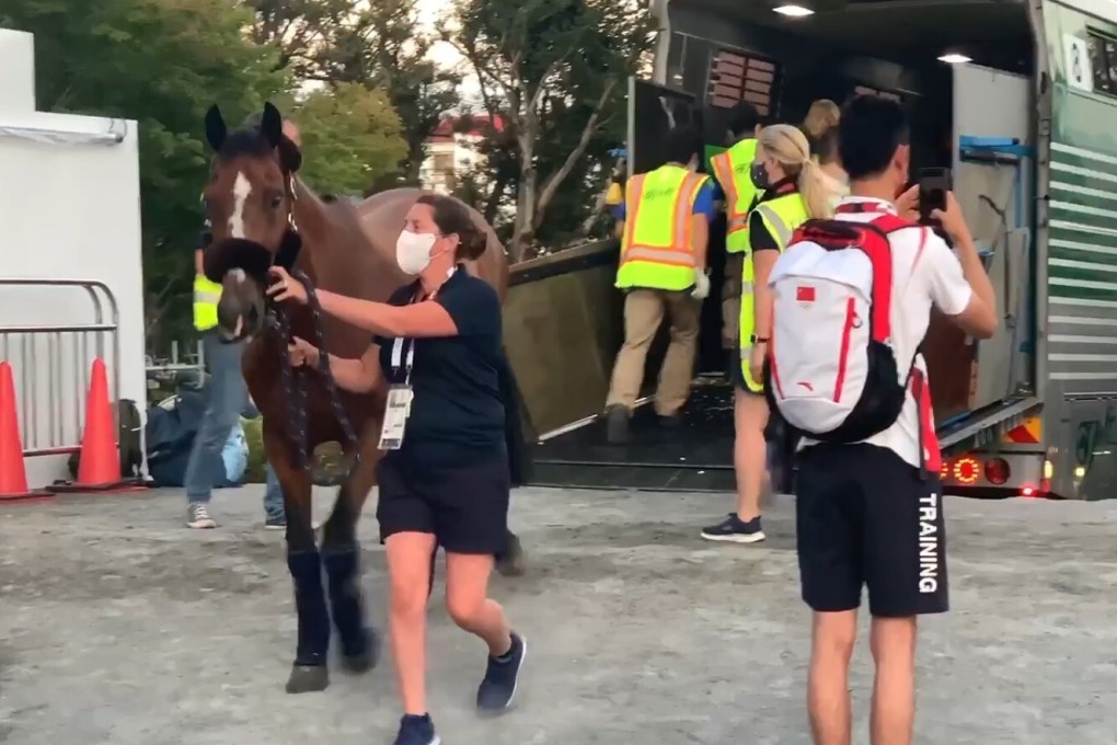 Tayberry is led off the truck as he arrives at the Baji Equestrian Park in Tokyo for the Olympics. Photo: Facebook