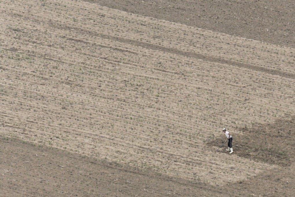 A farmer works in a field in Uiju county, North Korea. The country is facing severe food shortages this year. Photo: Kyodo