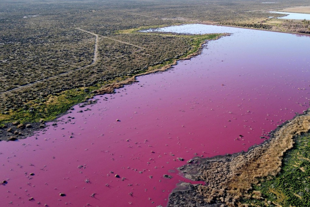 Aerial view of a lagoon that turned pink due to a chemical used to help shrimp conservation in fishing factories near Trelew, in the Patagonian province of Chubut, Argentina. Photo: AFP