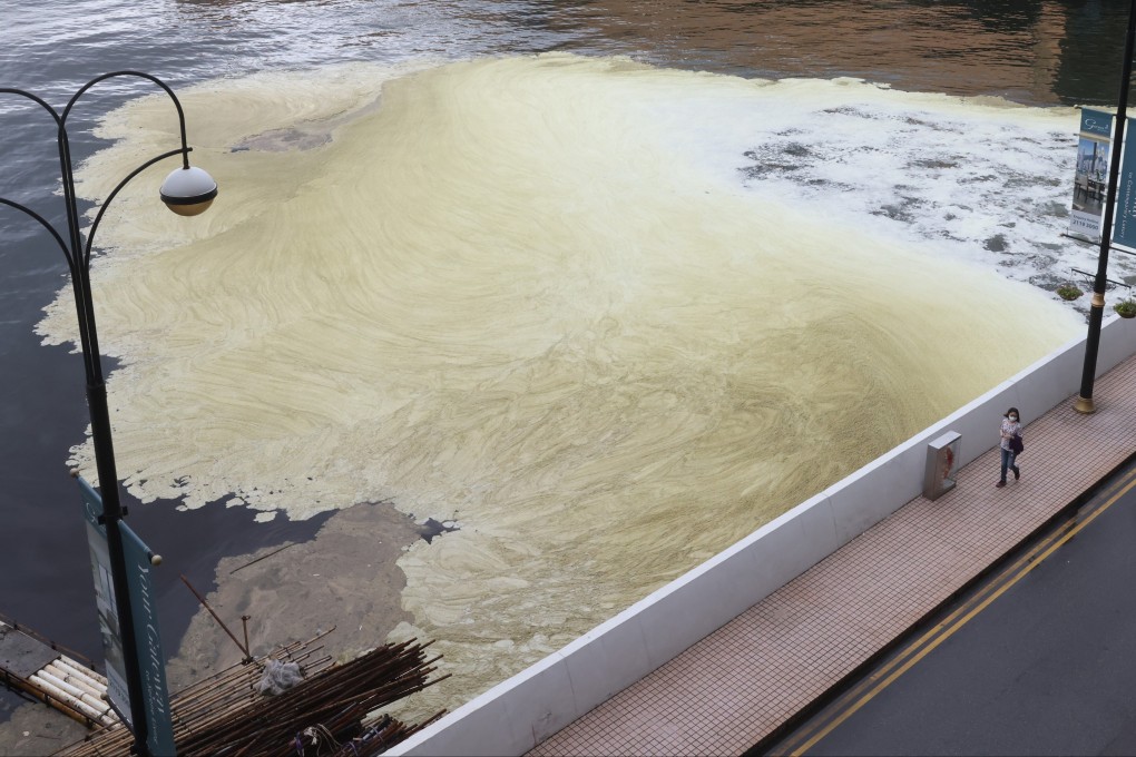 A brown sludge covers an area of Victoria Harbour off Ocean Terminal and Harbour City in Tsim Sha Tsui on Tuesday. Photo: K. Y. Cheng
