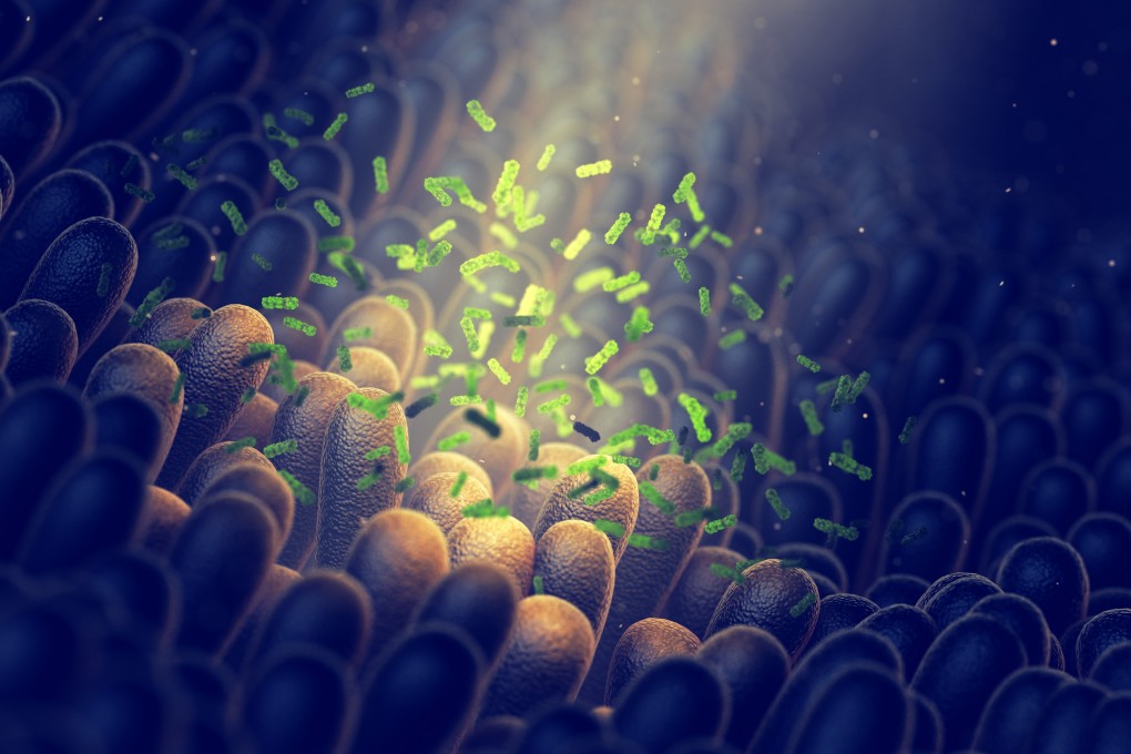 Bacteria in the gut of young autism sufferers could affect the central nervous system, the study found. Image: Shutterstock