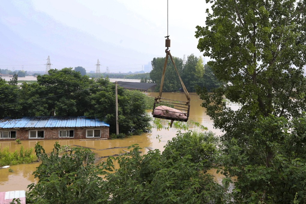 Last month’s flooding around China’s central Henan province has swept away the crops and animals of some farmers while others are seeking donations of disinfectants to stop the spread of animal disease. Photo: Simon Song