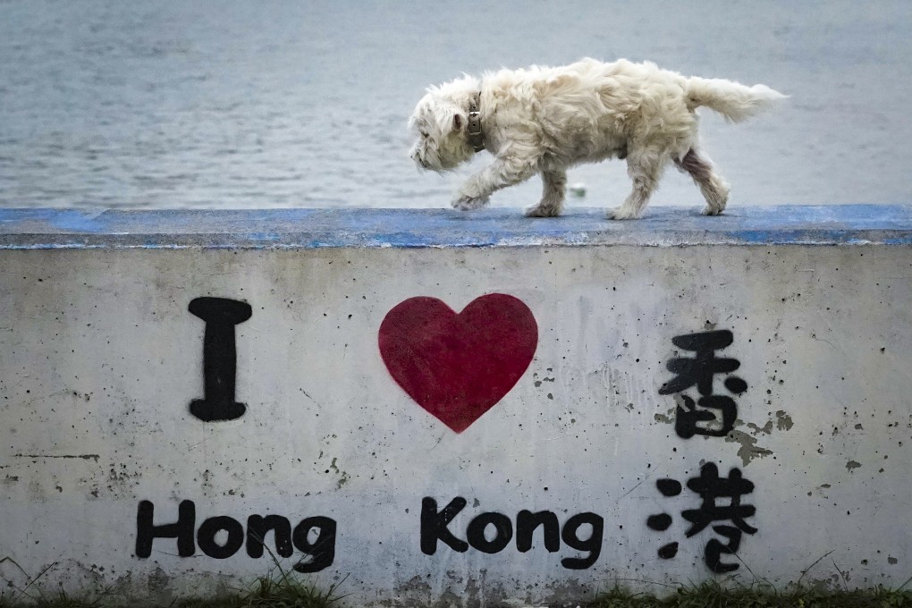 Some owners leaving Hong Kong have not been able to take their pets along. Photo: Felix Wong