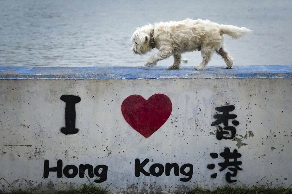 Some owners leaving Hong Kong have not been able to take their pets along. Photo: Felix Wong