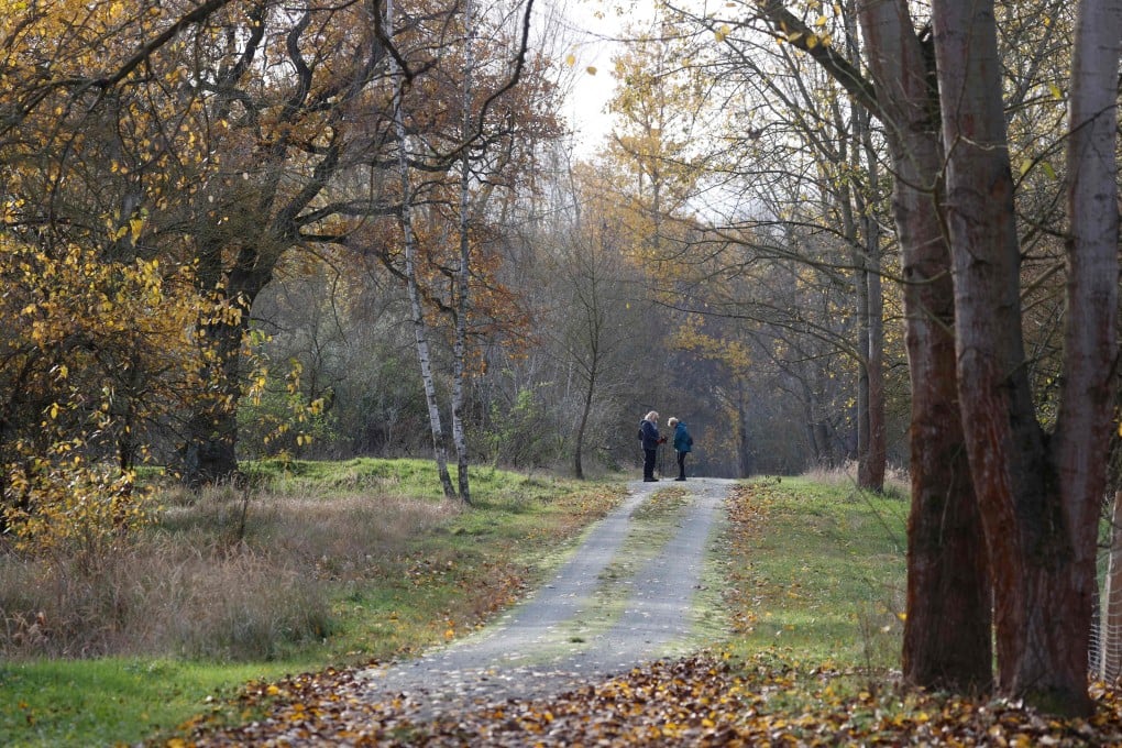 The park in Berlin where some of the victim’s bones were found. Photo: AFP