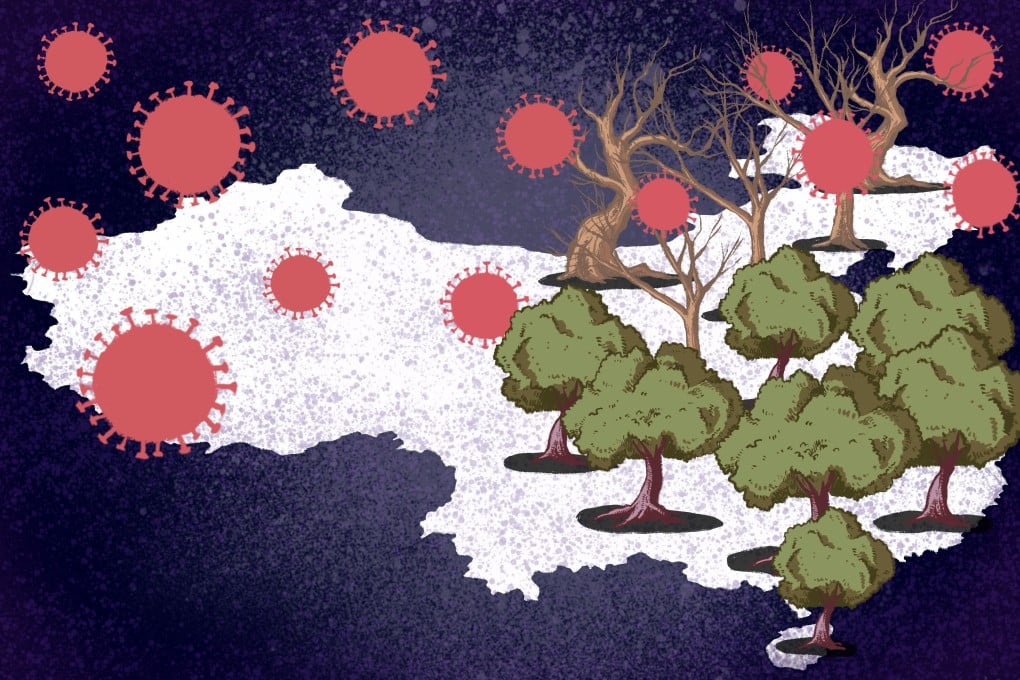 China was the first major economy to bounce back from the pandemic, but the recovery has been uneven between regions. Illustration: Lau Ka-kuen