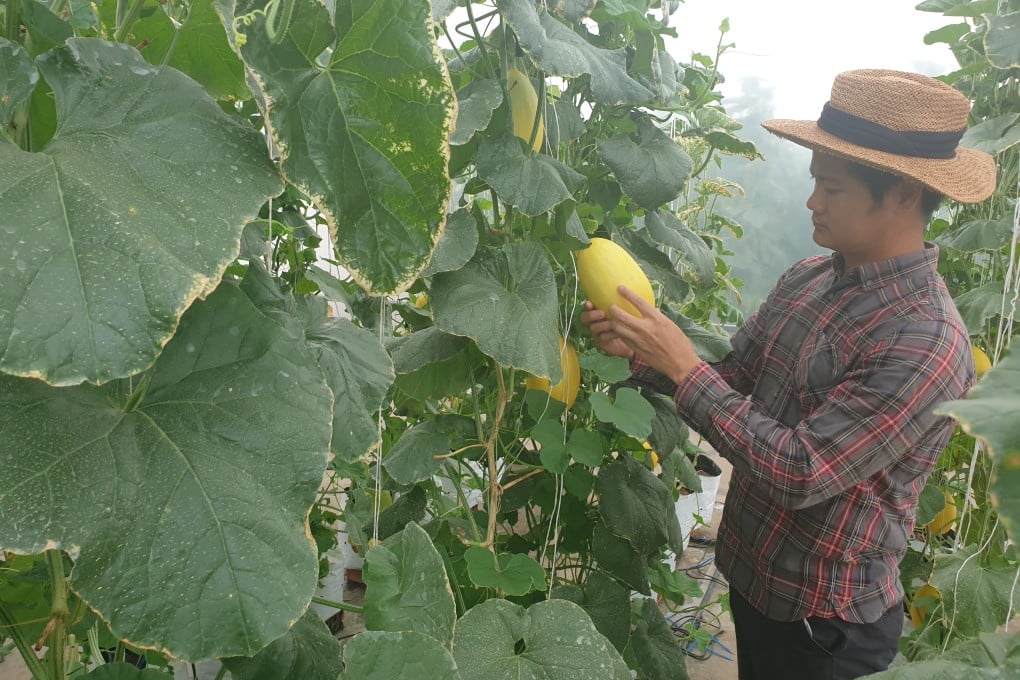 Vietnamese farmer Nguyen Quang Tuyen at his farm. Extended lockdowns mean farmers face challenges in dispatching produce for sale, and merchants cannot travel to their farms. Photo: Handout