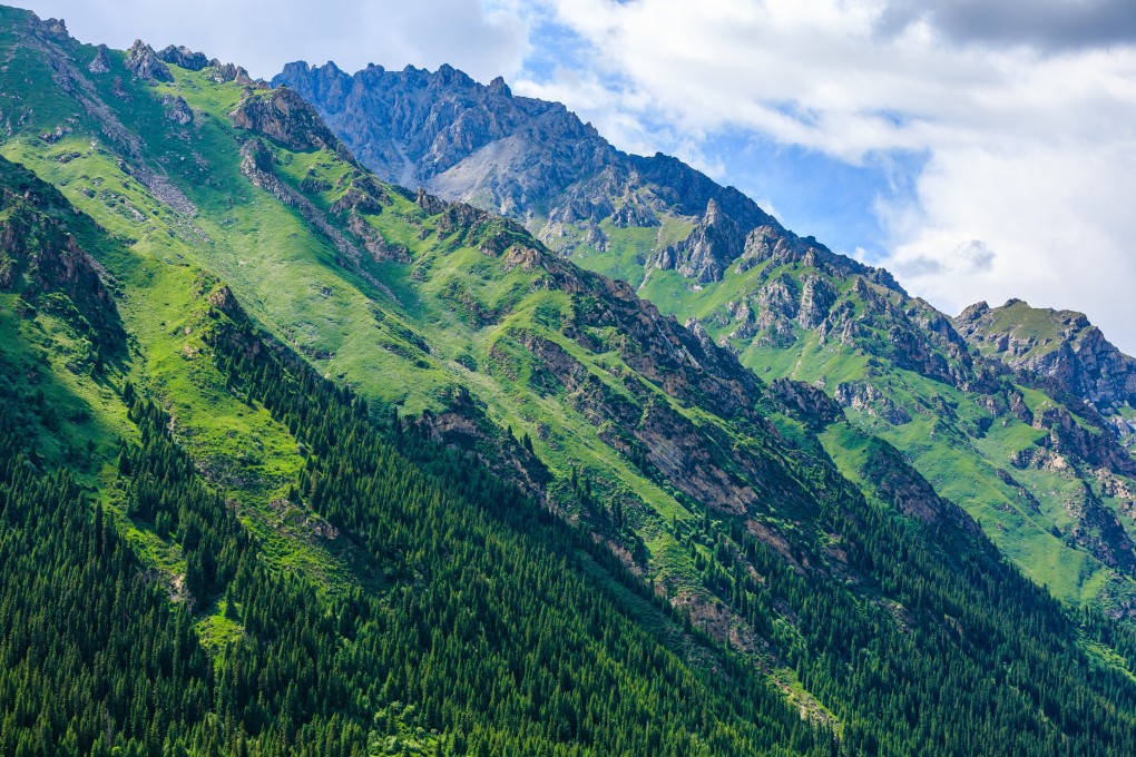 China announced it would set up a national park system in 2013. Photo: Shutterstock