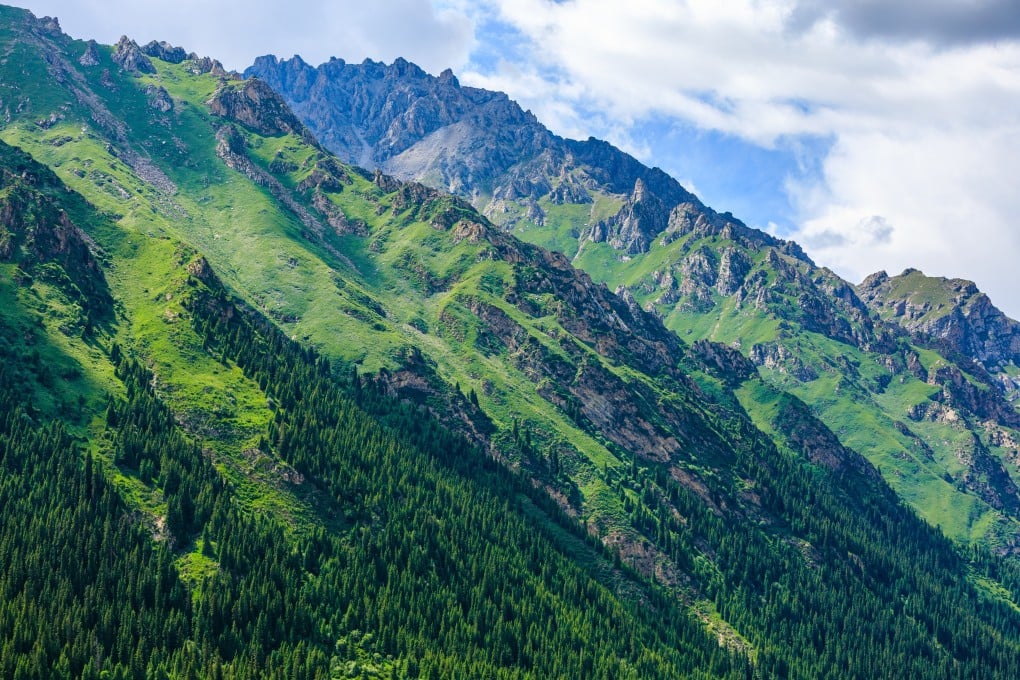 China announced it would set up a national park system in 2013. Photo: Shutterstock