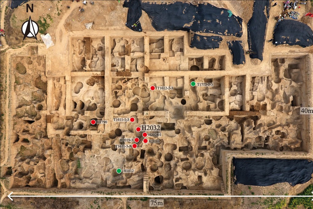 The excavation site in Henan province. Photo: Handout