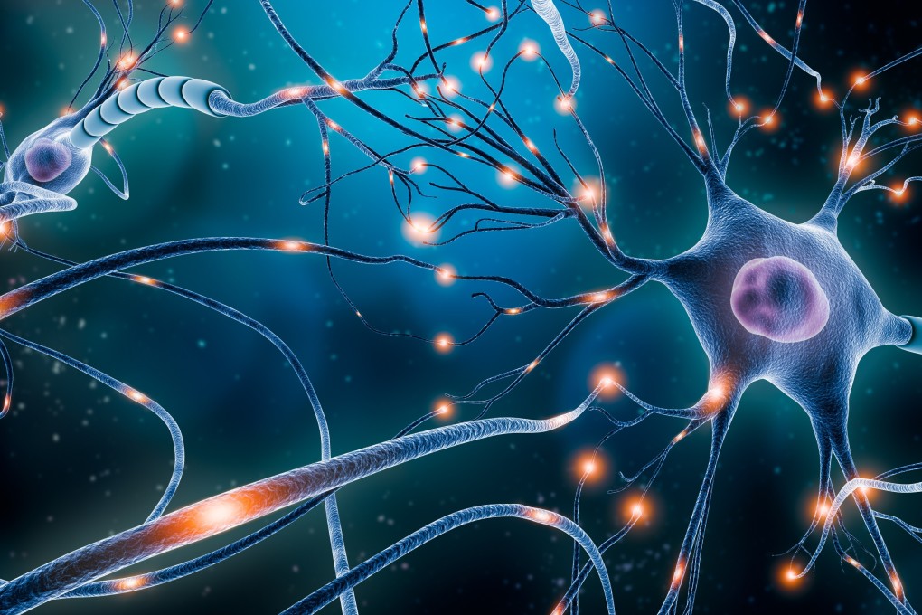 The study used stem cells to stimulate neuron growth. Photo: Shutterstock