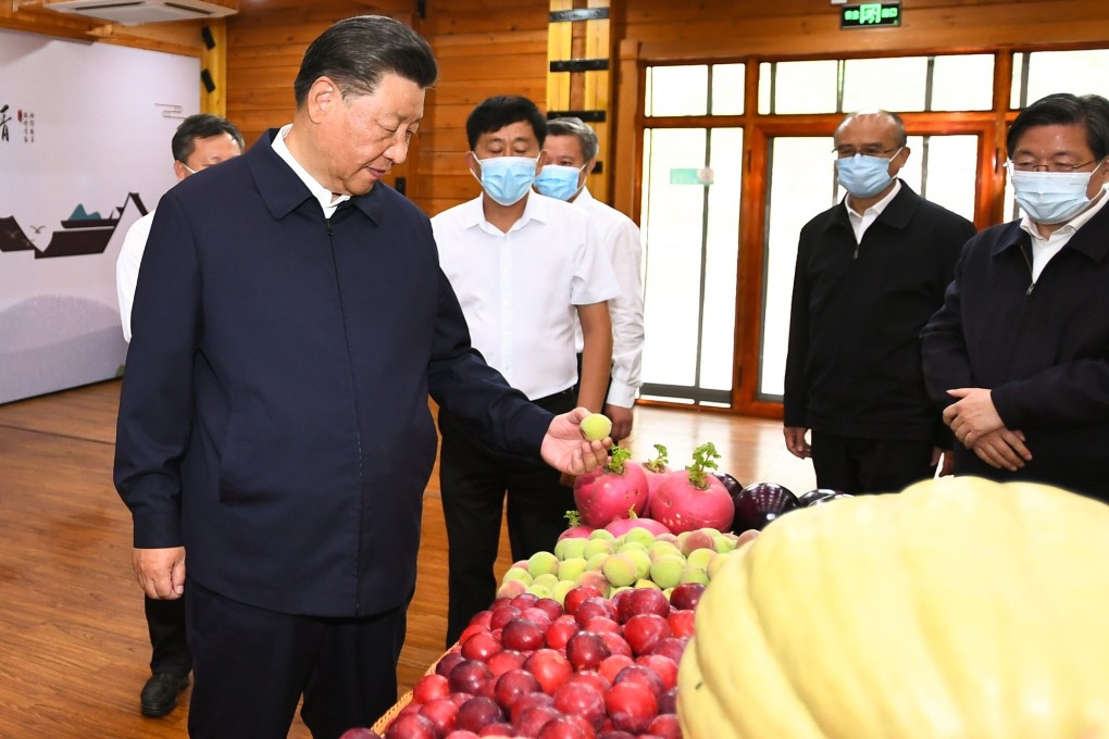 Xi Jinping has emphasised wealth redistribution within China, referring to common prosperity goals at least 65 times in speeches and meetings this year, more than double the 30 mentions in all of last year. Photo: Xinhua
