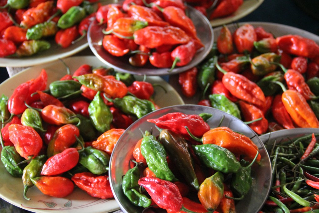 Bhut jolokia piled at a market in Kohima, Nagaland. Photo: Kalpana Sunder